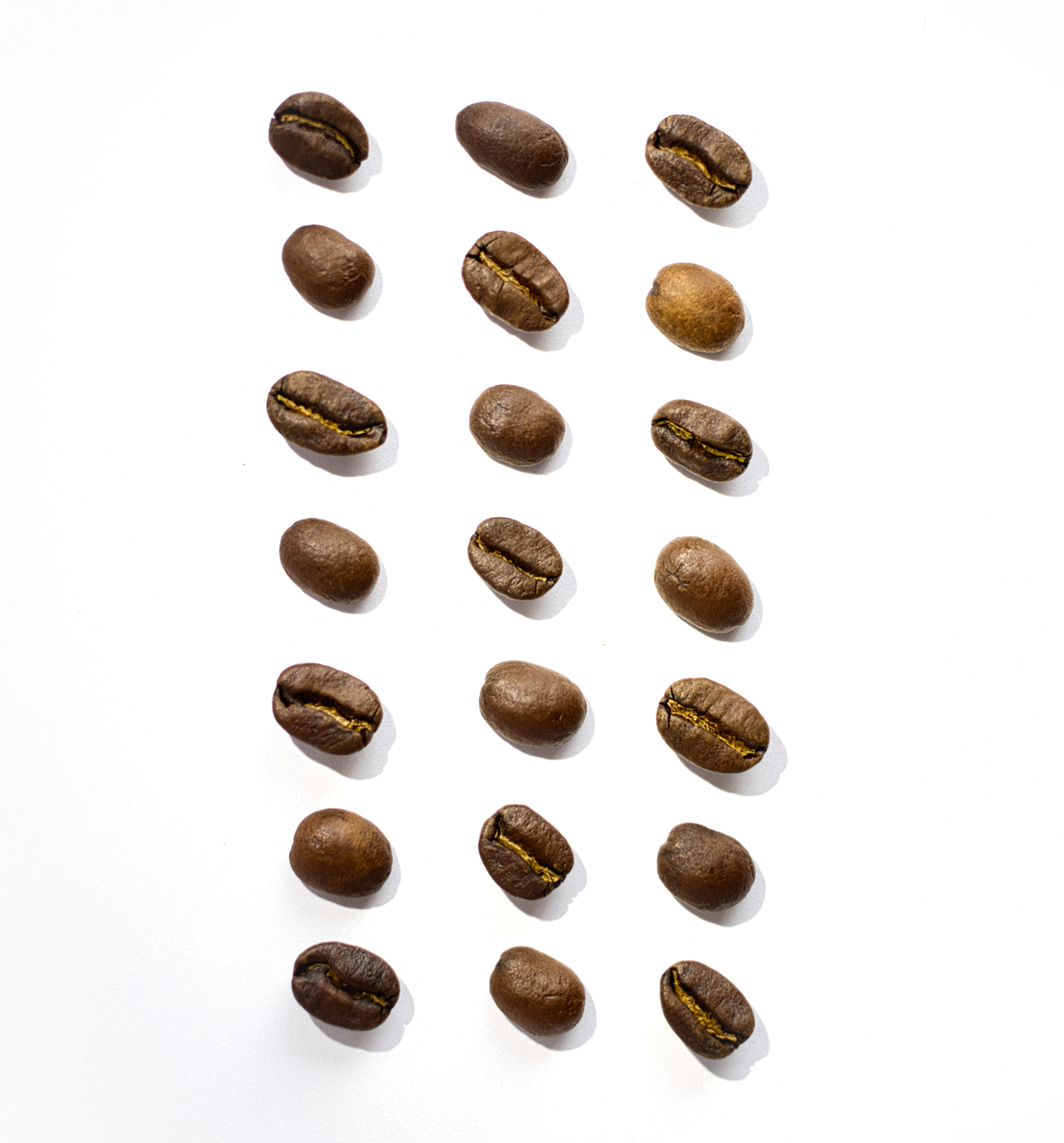 コーヒー豆たち